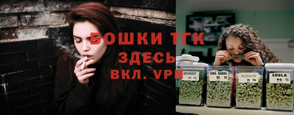 сатива Нягань