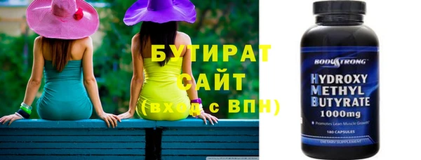 гидра Няндома