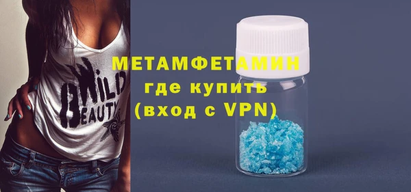гидра Няндома