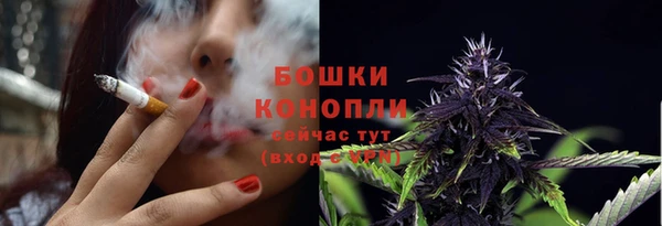 гидра Няндома