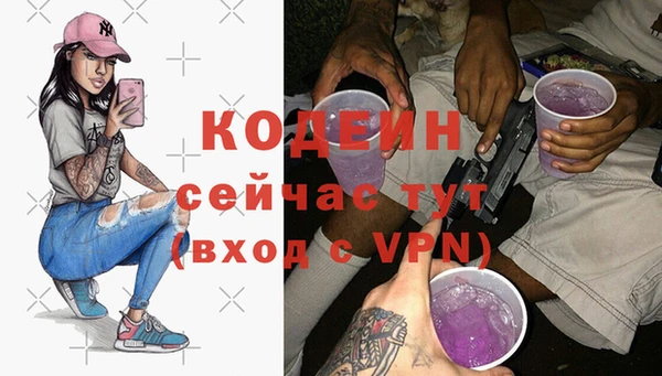 гидра Няндома