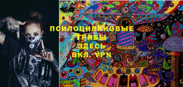 сатива Нягань