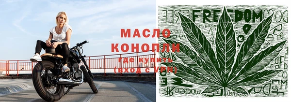 гидра Няндома