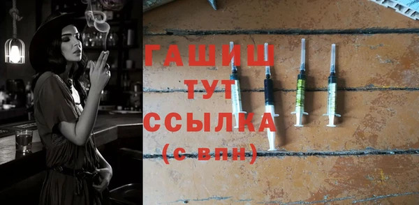 гидра Няндома