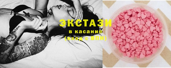 гидра Няндома