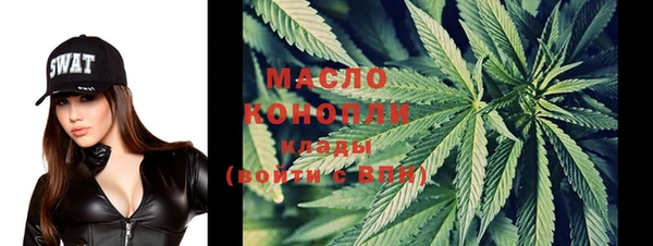 гидра Няндома