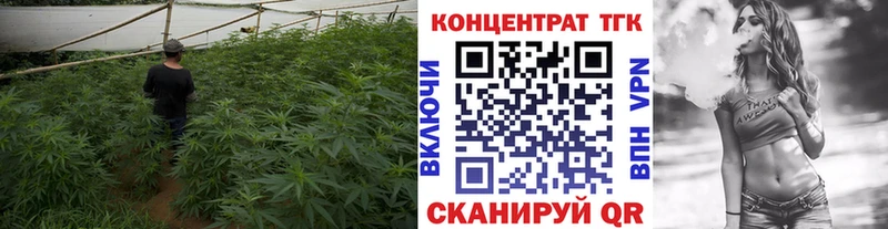где купить   Реж  Дистиллят ТГК вейп с тгк 